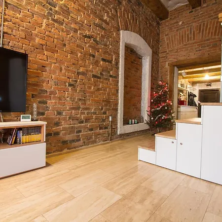 Michael Weiss 公寓 布拉索夫