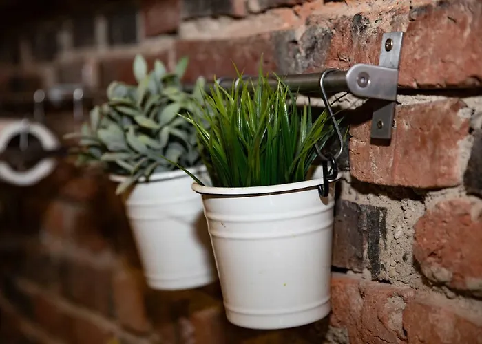 Michael Weiss Apartment Brasov