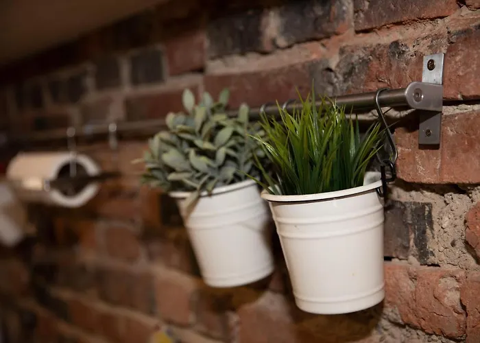 Michael Weiss 布拉索夫